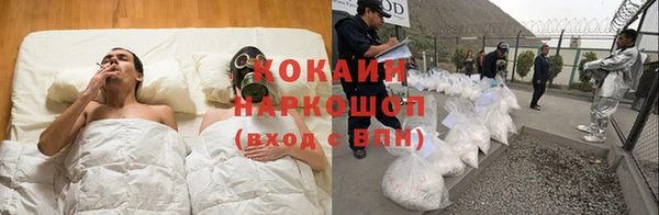 apvp Алзамай